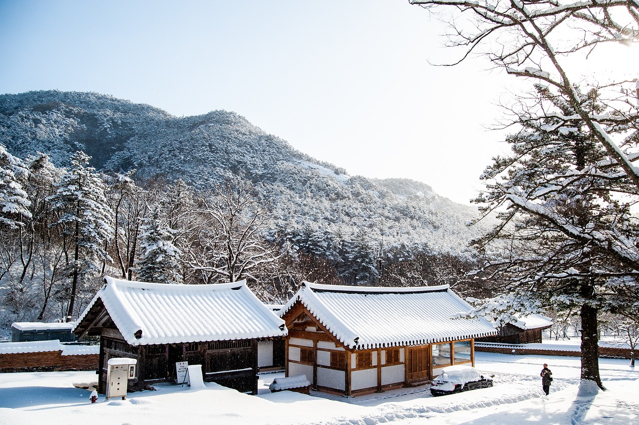 temple, korea, winter