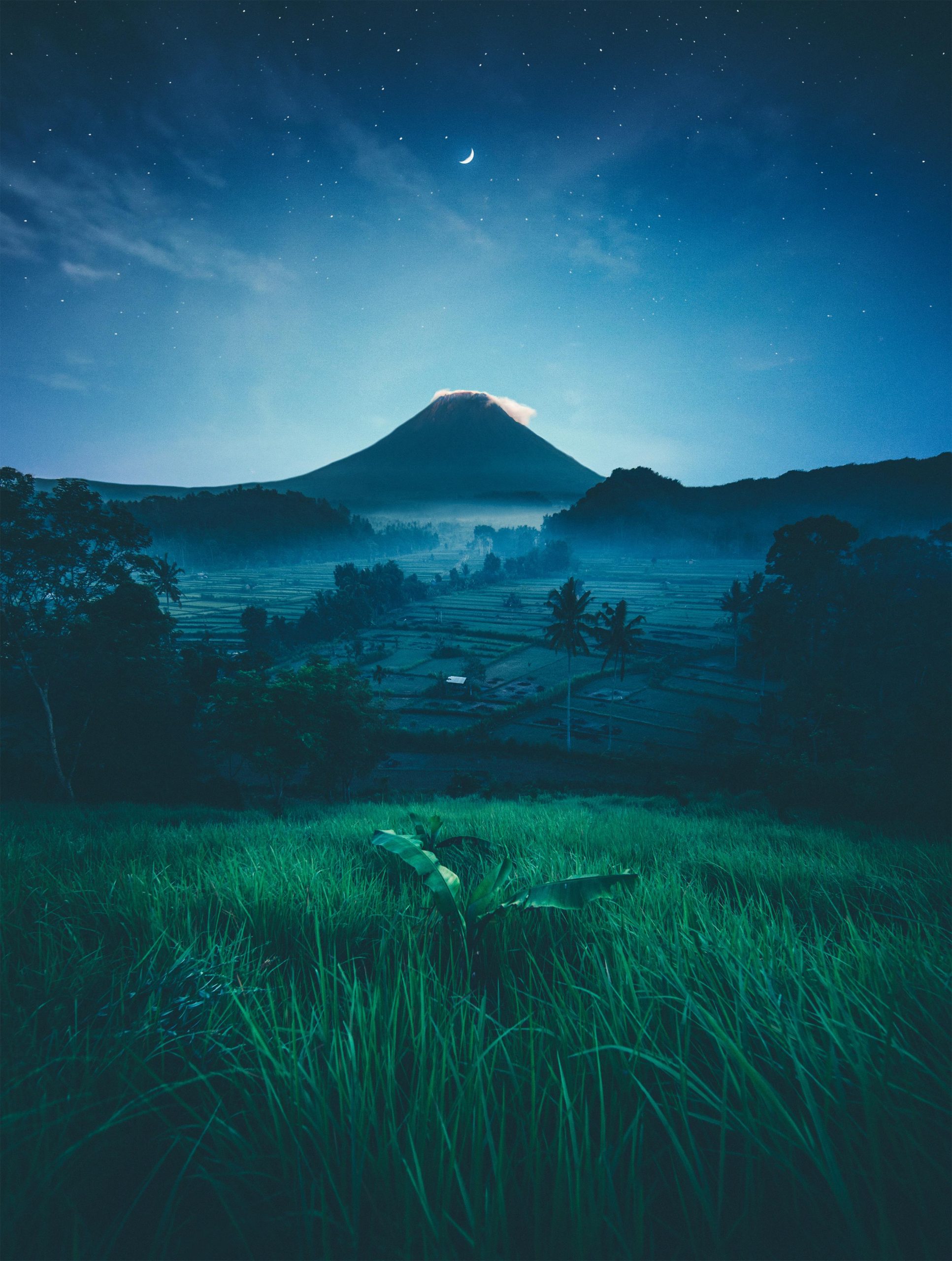 A breathtaking view of a moonlit mountain with vivid green fields, creating a serene and magical atmosphere.